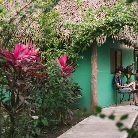 Bocawina Rainforest Resort Hopkins Buitenkant foto