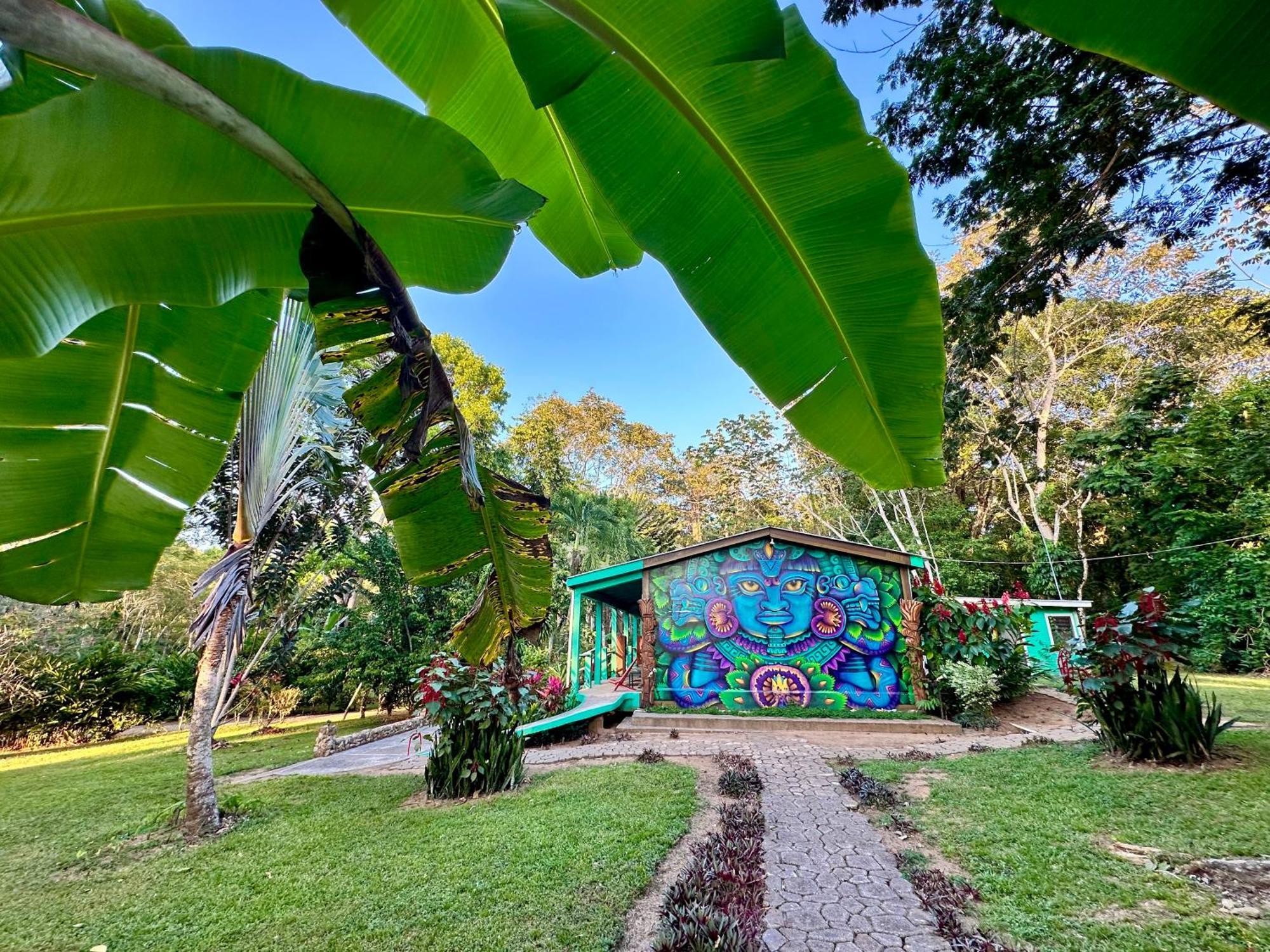 Bocawina Rainforest Resort Hopkins Buitenkant foto