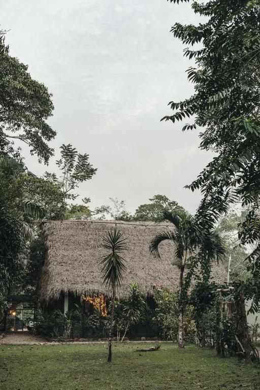 Bocawina Rainforest Resort Hopkins Buitenkant foto